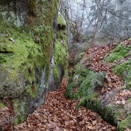 Nostalgicka Mys * Kokorin