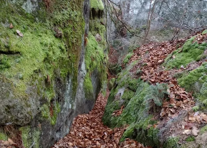 Nostalgická Myš * Kokorin