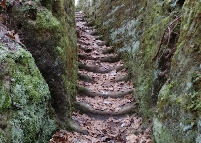 Apartmán Nostalgická Myš *